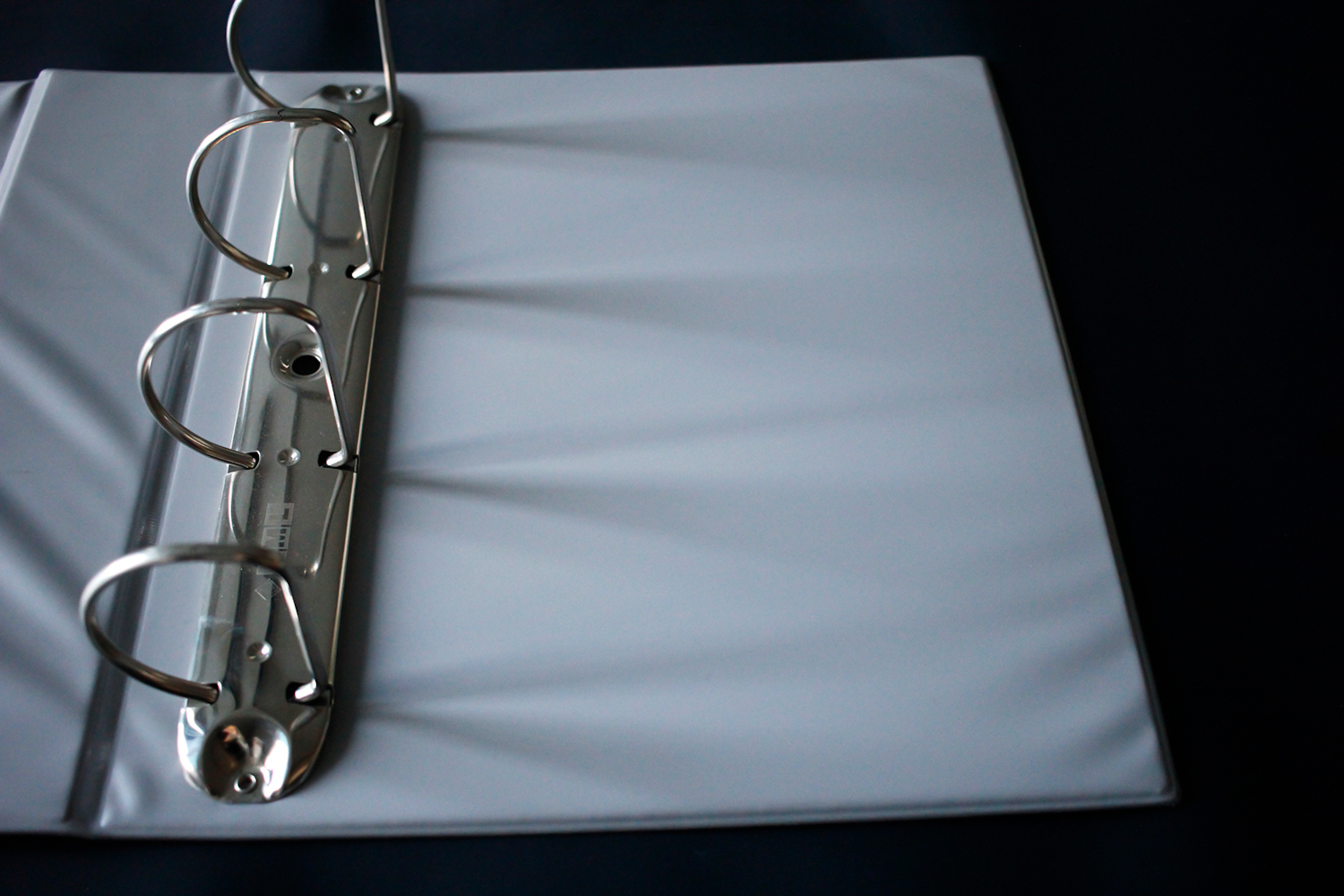 RACCOGLITORI A QUATTRO ANELLI DAILY