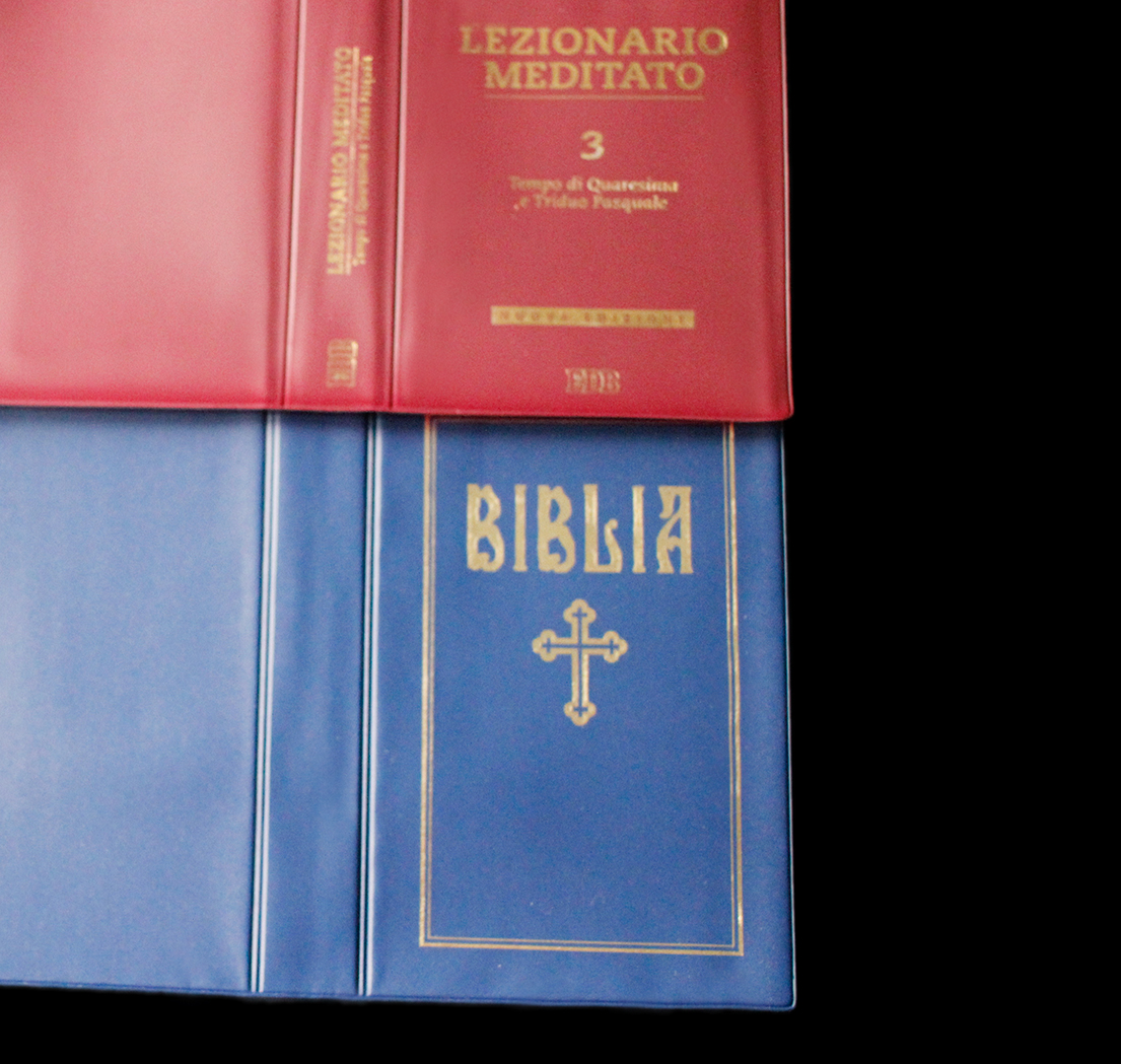 BIBBIA, BIBBIE, TESTI SACRI, LIBRO DELLA BIBBIA