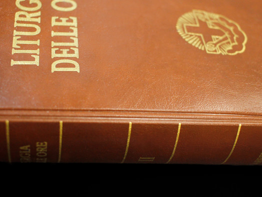 Produzione Sovraccoperte e Copertine proteggi Libro per proteggerli